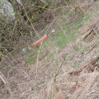 48h_aktion_2015_pr_jg_angelverein_jc_meyenburg_06