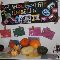 2015-11-07_bbl_jubilaeum_25_jahre_035