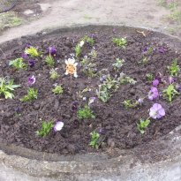 48h_aktion_2016_mol_jz_notausgang_20160423_162550