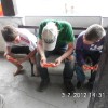 2012_wusterhausenf_szw2_prot_018