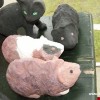 2013_grosswoltersdorf_zg1_131_prot