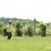 2013_grosswoltersdorf_zg1_169_prot