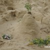 2013_grosswoltersdorf_zg1_220_prot