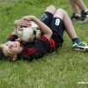 2013_grosswoltersdorf_zg1_238_prot