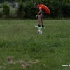 2013_grosswoltersdorf_zg1_245_prot