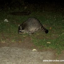 2013_prebelow_sp3_032_prot
