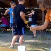 2013_arendsee_sa5_004_prot