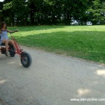 2013_arendsee_sa5_067_prot