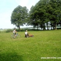 2013_arendsee_sa5_076_prot