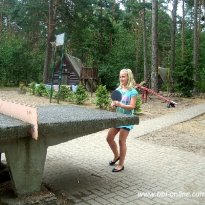 2013_arendsee_sa6_010_prot