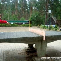 2013_arendsee_sa6_011_prot