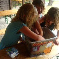 2013_arendsee_sa6_013_prot