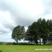 2013_arendsee_sa6_025_prot