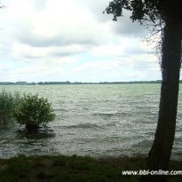 2013_arendsee_sa6_026_prot