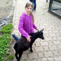 2013_neuendorf_hn1_web_prot_099